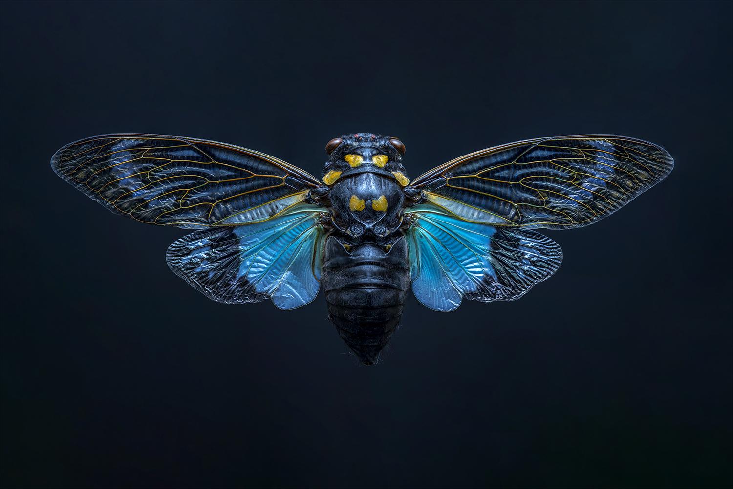 Color Photography Contest Featured Image